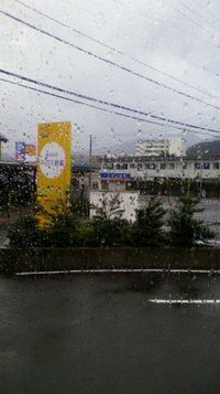 201109030726.jpg