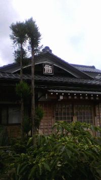 sushiyoshi san no matsu.jpg