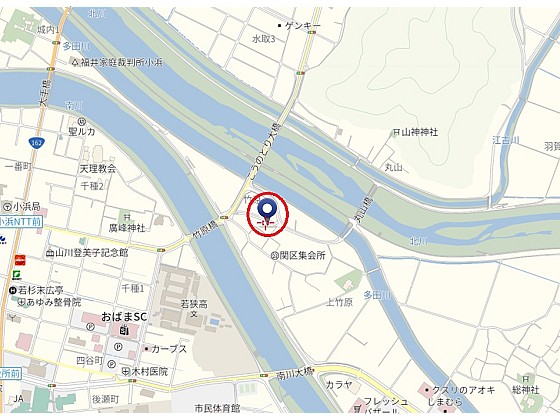  竹原29号