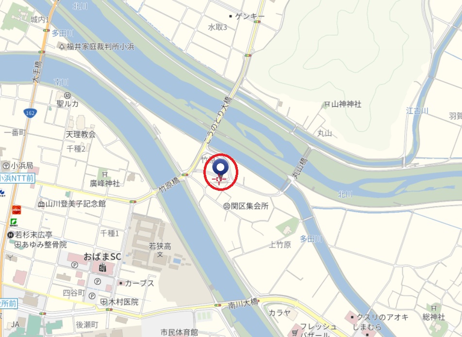  竹原29号